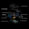 imageLogitech G Pro Wireless Gaming Mouse with Esports Grade PerformanceBlack